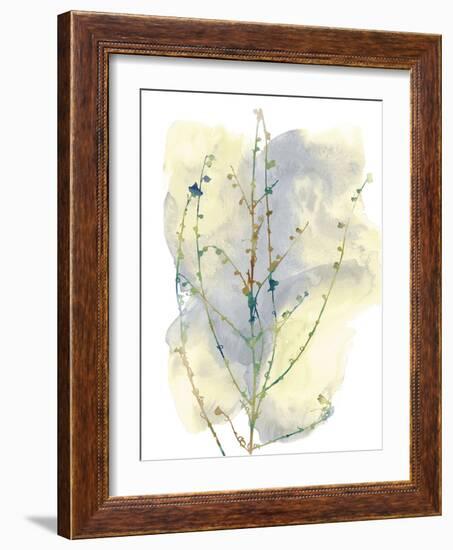 Wildflower Chorus-Tania Bello-Framed Giclee Print