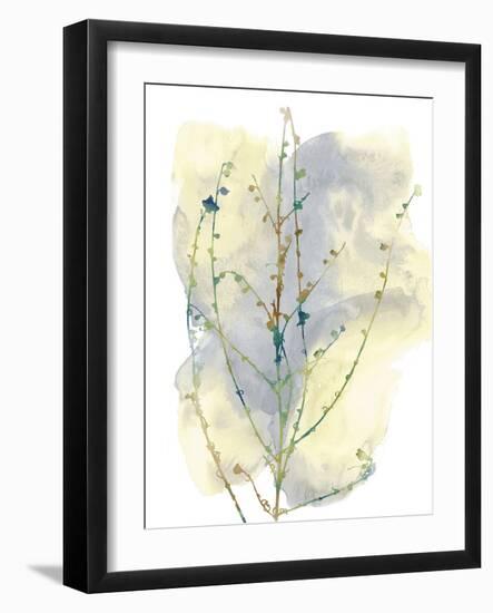 Wildflower Chorus-Tania Bello-Framed Giclee Print