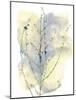 Wildflower Chorus-Tania Bello-Mounted Giclee Print