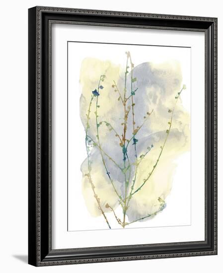 Wildflower Chorus-Tania Bello-Framed Giclee Print