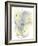 Wildflower Chorus-Tania Bello-Framed Giclee Print