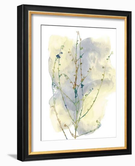 Wildflower Chorus-Tania Bello-Framed Giclee Print