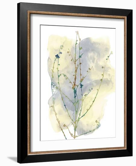 Wildflower Chorus-Tania Bello-Framed Giclee Print