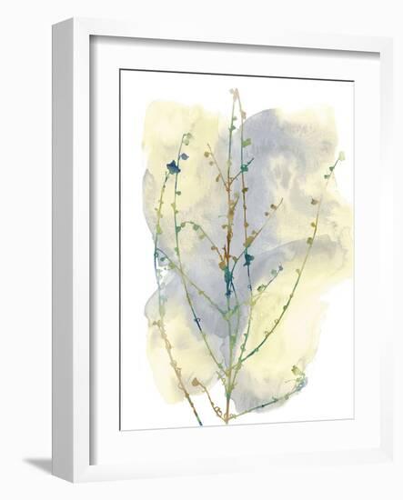 Wildflower Chorus-Tania Bello-Framed Giclee Print