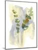 Wildflower Duet-Tania Bello-Mounted Giclee Print