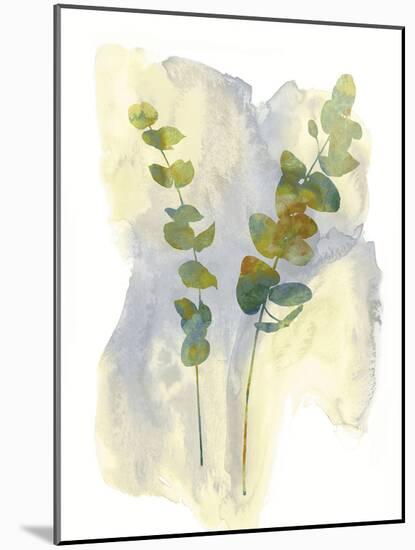 Wildflower Duet-Tania Bello-Mounted Giclee Print