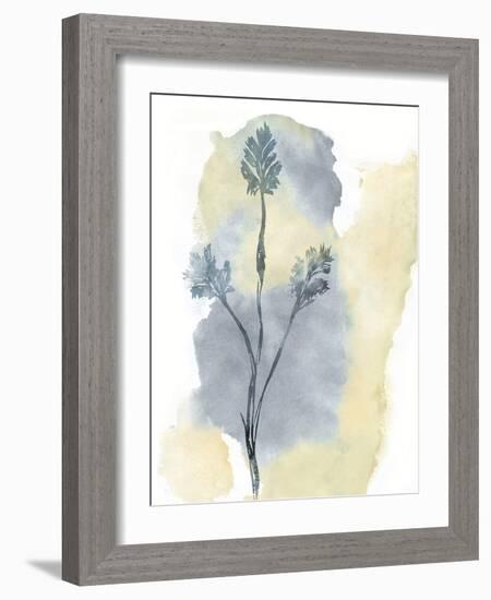 Wildflower Ensemble-Tania Bello-Framed Giclee Print