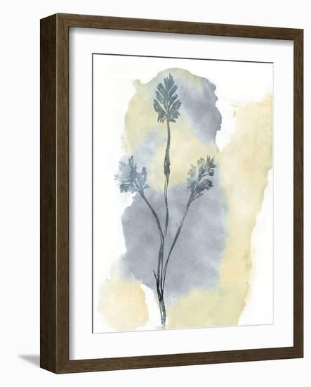 Wildflower Ensemble-Tania Bello-Framed Giclee Print