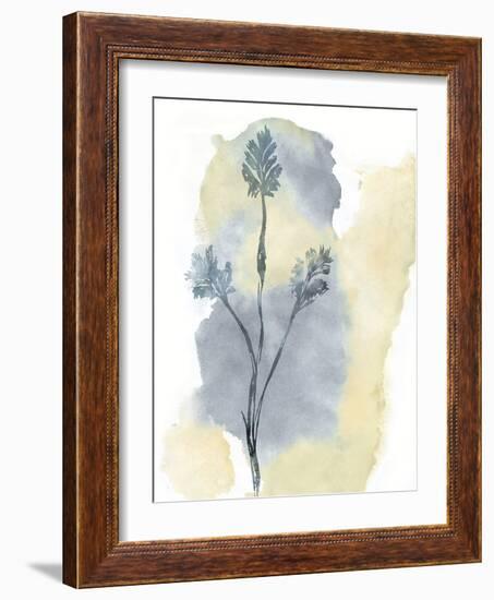 Wildflower Ensemble-Tania Bello-Framed Giclee Print