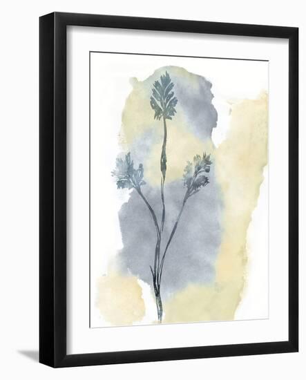 Wildflower Ensemble-Tania Bello-Framed Giclee Print