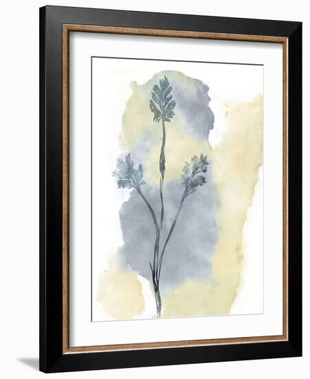 Wildflower Ensemble-Tania Bello-Framed Giclee Print