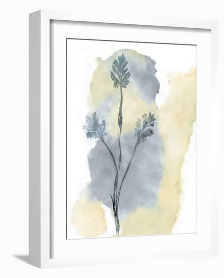 Wildflower Ensemble-Tania Bello-Framed Giclee Print