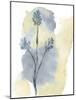 Wildflower Ensemble-Tania Bello-Mounted Giclee Print
