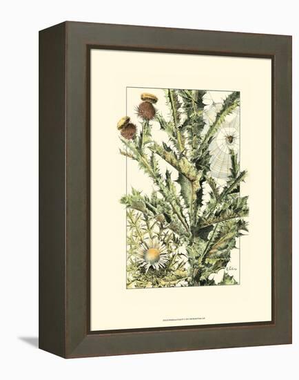 Wildflower Field IV-null-Framed Stretched Canvas