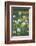 Wildflower Field-Anna Miller-Framed Photographic Print