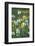 Wildflower Field-Anna Miller-Framed Photographic Print