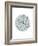 Wildflower - Grow-Clara Wells-Framed Giclee Print