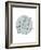 Wildflower - Grow-Clara Wells-Framed Giclee Print