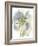 Wildflower Harmony-Tania Bello-Framed Giclee Print