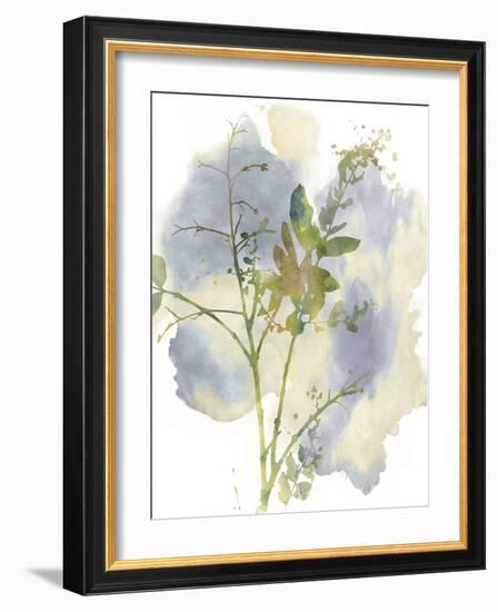 Wildflower Harmony-Tania Bello-Framed Giclee Print