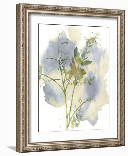 Wildflower Harmony-Tania Bello-Framed Giclee Print