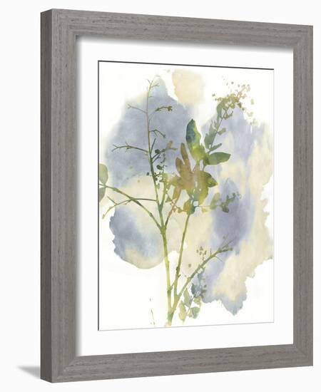 Wildflower Harmony-Tania Bello-Framed Giclee Print