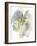 Wildflower Harmony-Tania Bello-Framed Giclee Print