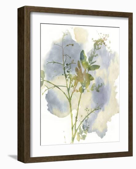 Wildflower Harmony-Tania Bello-Framed Giclee Print