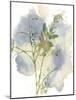 Wildflower Harmony-Tania Bello-Mounted Giclee Print