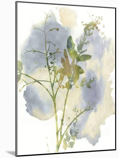 Wildflower Harmony-Tania Bello-Mounted Giclee Print