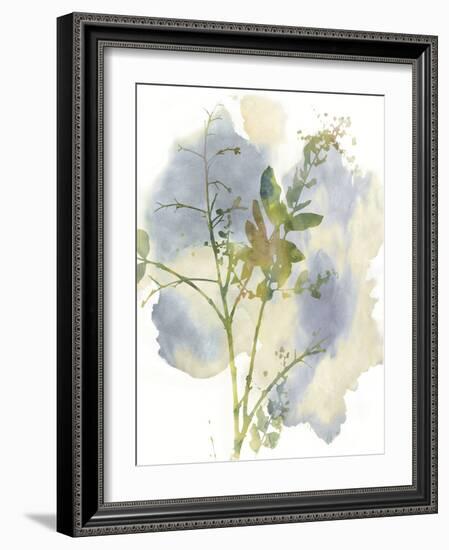 Wildflower Harmony-Tania Bello-Framed Giclee Print