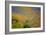 Wildflower Hills II-Lee Peterson-Framed Photo