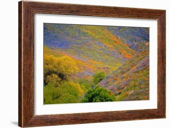 Wildflower Hills II-Lee Peterson-Framed Photo