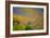 Wildflower Hills II-Lee Peterson-Framed Photo