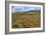 Wildflower Hills of Gorman-Vincent James-Framed Photographic Print