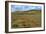 Wildflower Hills of Gorman-Vincent James-Framed Photographic Print