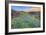 Wildflower Hillside at Sunset, Table Mountain-Vincent James-Framed Photographic Print