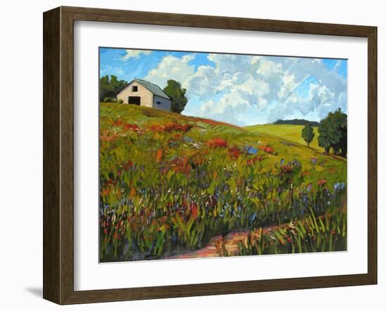 Wildflower Hillside in Boulder County, CO-Patty Baker-Framed Art Print