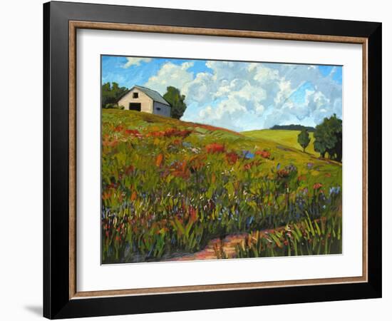 Wildflower Hillside in Boulder County, CO-Patty Baker-Framed Art Print