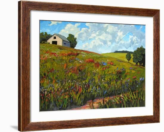 Wildflower Hillside in Boulder County, CO-Patty Baker-Framed Art Print