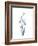 Wildflower Indigo-Albert Koetsier-Framed Premium Giclee Print