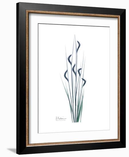Wildflower Indigo-Albert Koetsier-Framed Premium Giclee Print