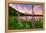 Wildflower Lake, Trillium Lake and Lupine, Mount Hood Wilderness, Oregon-Vincent James-Framed Premier Image Canvas