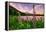 Wildflower Lake, Trillium Lake and Lupine, Mount Hood Wilderness, Oregon-Vincent James-Framed Premier Image Canvas
