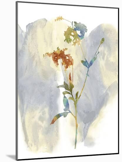 Wildflower Lullaby-Tania Bello-Mounted Giclee Print