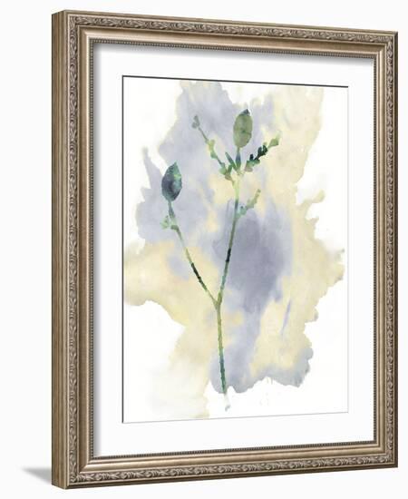 Wildflower Lyrical-Tania Bello-Framed Giclee Print