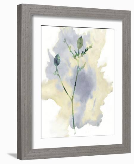 Wildflower Lyrical-Tania Bello-Framed Giclee Print