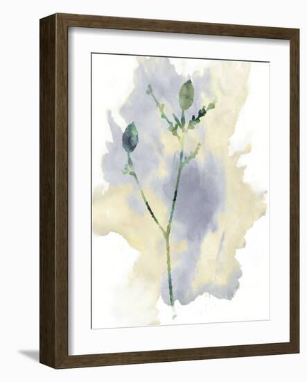 Wildflower Lyrical-Tania Bello-Framed Giclee Print