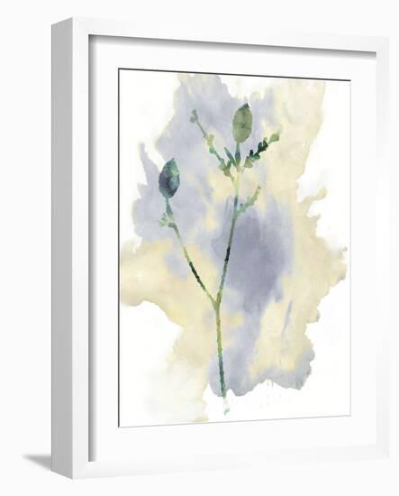 Wildflower Lyrical-Tania Bello-Framed Giclee Print