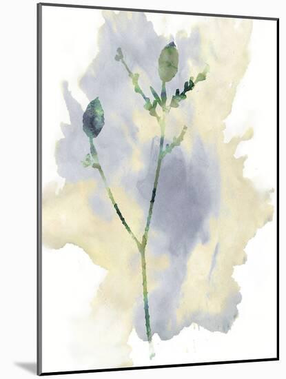 Wildflower Lyrical-Tania Bello-Mounted Giclee Print